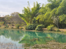 Edital de Licitação 09/2025 - Venda/Concessão de Imóveis