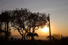 Edital de Licitação 11/2025 - Venda de Imóveis